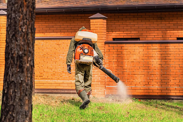 Trusted Termite Control service in Mechanicsburg, PA - Nex Pest Control
